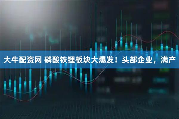大牛配资网 磷酸铁锂板块大爆发！头部企业，满产