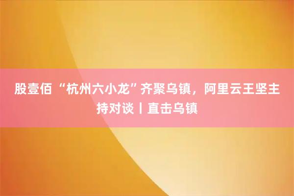 股壹佰 “杭州六小龙”齐聚乌镇，阿里云王坚主持对谈丨直击乌镇
