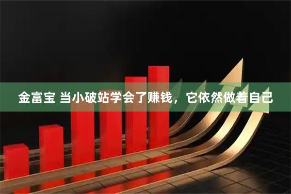 金富宝 当小破站学会了赚钱，它依然做着自己