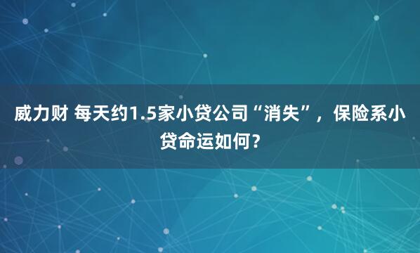 威力财 每天约1.5家小贷公司“消失”，保险系小贷命运如何？