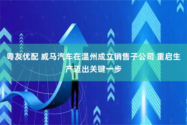 粤友优配 威马汽车在温州成立销售子公司 重启生产迈出关键一步