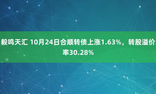 毅鸣天汇 10月24日合顺转债上涨1.63%，转股溢价率30.28%