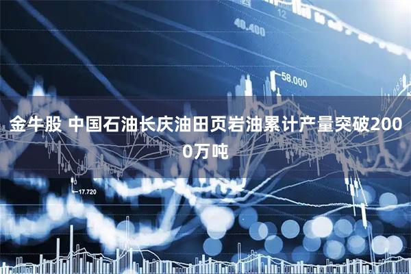 金牛股 中国石油长庆油田页岩油累计产量突破2000万吨