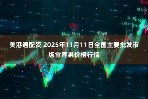 美港通配资 2025年11月11日全国主要批发市场雪莲果价格行情