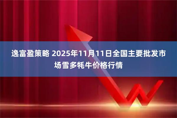 逸富盈策略 2025年11月11日全国主要批发市场雪多牦牛价格行情