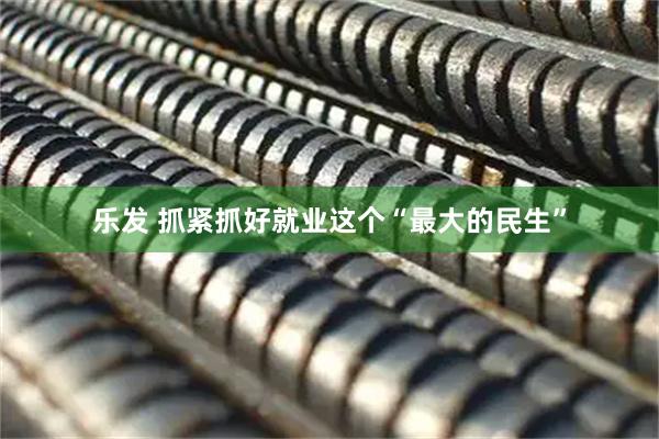 乐发 抓紧抓好就业这个“最大的民生”