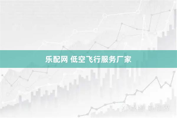 乐配网 低空飞行服务厂家