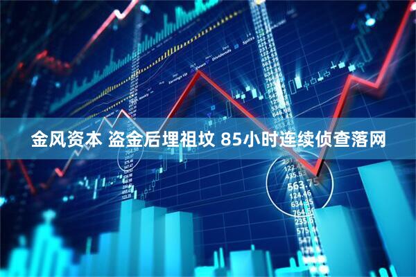 金风资本 盗金后埋祖坟 85小时连续侦查落网